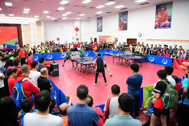 的稳健步伐 的稳健步伐